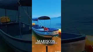 Mariscos Izabal  Christian Morales