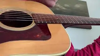 Guild D-40 1970