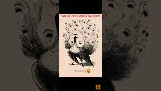 #shortvideo Optical image illusion