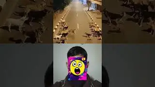 Dog Fight Turns Intense 😱 | Real Reaction | Fail To Fame@failtofameofficial