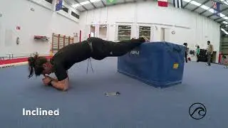 20 tipos de planchas / 20 types of plank / ejercicios para core