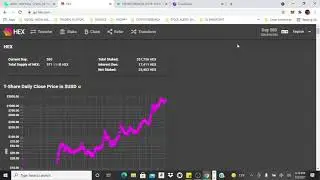 PULSECHAIN VS HEX SURPRISE 🎉🎉