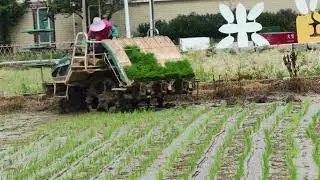 China is now rapidly mechanizing its rice cultivation. | Rice | Arable Land | Smart Agriculture