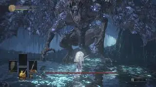 Darkeater Midir but harder sl1 no damage boss fight