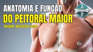 Anatomia e Fun&ccedil;&atilde;o do M&uacute;sculo Peitoral 