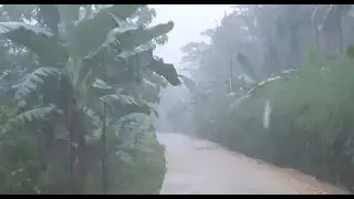 Heavy Rain in the Highest Village in Central Java | Walk through Beautiful and Very Cool village