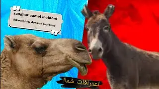 Rawalpindi donkey incident | Sanghar camel incident | Ali Jaffar Khan