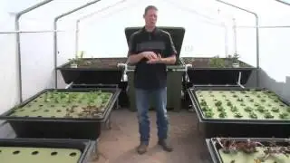 Aquaponics Garden Kits for Your Backyard