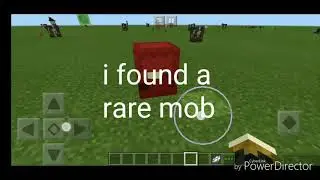 Minecraft - Mystery mob