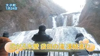 広がる氷壁 袋田の滝 凍結進む【いばキラニュース】R8.1.27