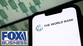 World Bank BLASTED over climate agenda: &lsquo;We need to stop this!&rsquo;