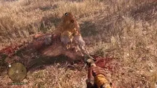 Far Cry Primal The Flamefang Sabertooth Tiger vs The Sabertooth Tiger Round One