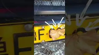 La forma m&aacute;s f&aacute;cil de evitar multas 🚀
