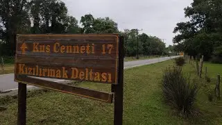 SAMSUN KIZILIRMAK DELTASI KUŞ CENNETİ