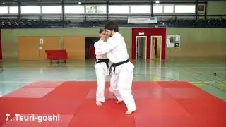 Judo || 2. Dan: Systematisierung - Koshi-waza #ZZD2 No. 41
