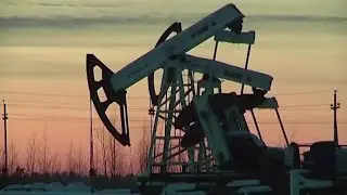 OPEC sees even slower oil demand recovery