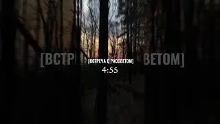 Один день из жизни 17-летнего школьника за 15 секунд #day #trend