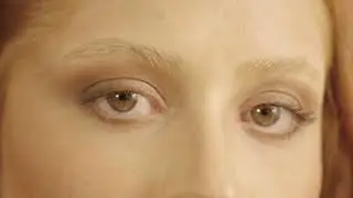 Rebirth of the Bride | The Genesis Beyond &mdash; First Edition
