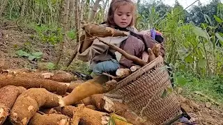 Harvesting Cassava to Survive A Single Mother&rsquo;s Extraordinary Determination