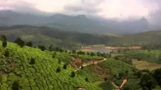 Munnar tea estates