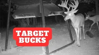 Buck &ldquo;Hit&rdquo; List | 2023 Whitetail Deer Season