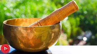 Meditation Music , Stress Relief Music , Study Music , Meditation , Zen 2020 | DM Music