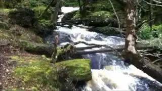 Loch Lomond Holiday Lochs & Glens
