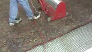 Rite Way Cleaning uses the Rug Badger to dust rugs
