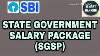 SBI State Government Salary Package Benefits and Account Variants Full Details in Telugu