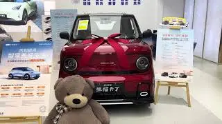 All New Geely Geome Panda EV 2025 - Exterior And Interior
