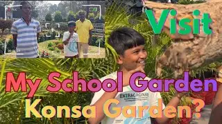Visit My School Garden 🪴 | My School Garden Visit | Beautiful 🤩 Garden