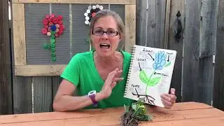 Plant Structure and Functions