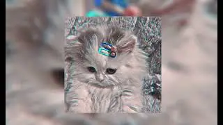 KREAYSHAWN &ndash; MISSING KITTY//speed up\\