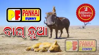 बाघ छुआ🐯🐯sambalpuri best funny video😎😎
