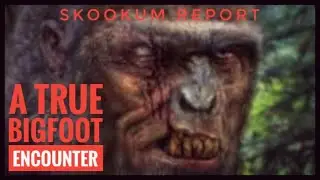 A True Bigfoot Encounter...