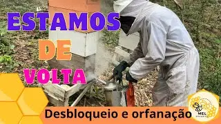 Método Pálmer na prática!