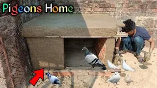 How To Make Small Pigeons House With Sliding Door | कबूतरो का सबसे सुंदर घर बनाओ