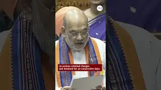 Opposition MPs tear copies of the Constitution Amendment Bills and fling them towards Amit Shah