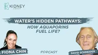 Water&rsquo;s Hidden Pathways: How Aquaporins Fuel Life | PODCAST | ft. David Schneider