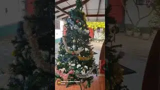 අලුත් නත්තල් සැරසිල්ල කවුද බලන්නකෝ..Look who's got the new Christmas decorations!❤️❤️😘