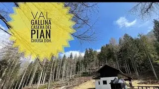 In Val Gallina passeggiata di riscaldamento verso Casera del Pian.(chiusa)…