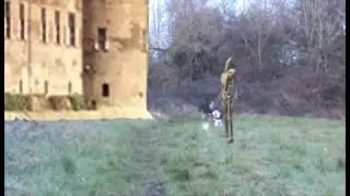Husky Heroes