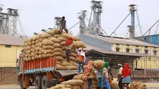 వడ్ల నుండి బియ్యం తయారయ్యే ప్రక్రియ #automobile #వడ్ల మిషన్ #paddyfield #paddy #farming #farmer