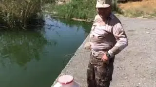 Переселяем  жериха в Ереваское водохранилище
