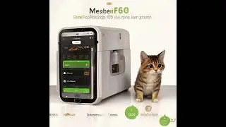 MewFood