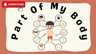 Body parts || learn to read || Toddlers || Baby || #learning #baby #toddlerlearning
