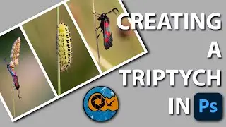 CREATE A TRIPTYCH IMAGE IN PHOTOSHOP