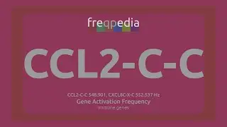 CCL2-C-C (immunity and inflammation) Gene Activation Frequency