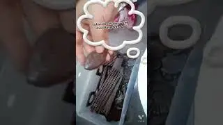 Gel cake || yellow colour cake #gelcake #art #cake #trending