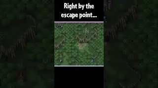 I hate Warp Tiles and the Warp Tiles hate me
